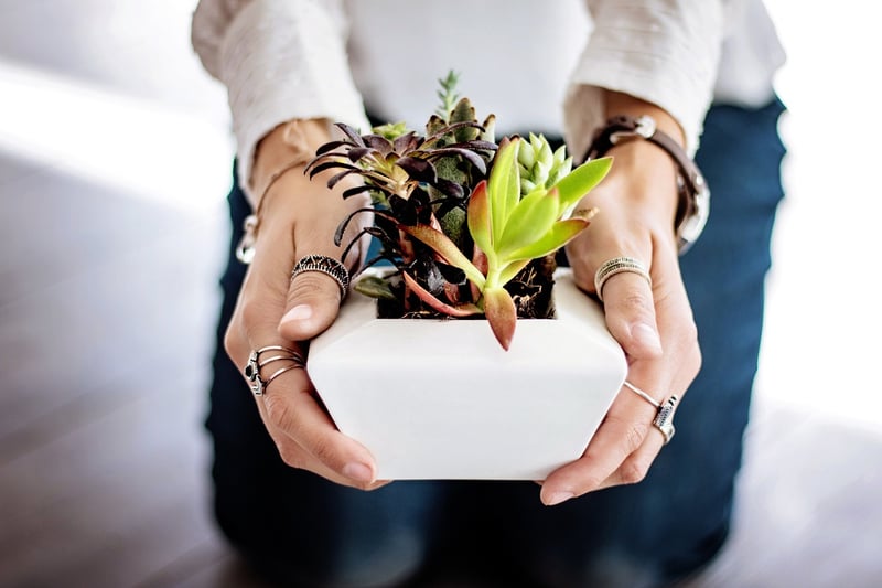 Upcycled Planters